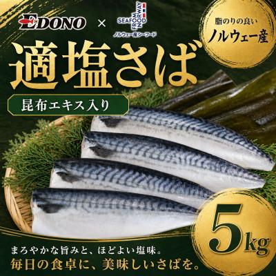 ふるさと納税 銚子市 適塩さば 昆布エキス入り 約5kg