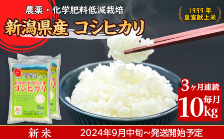 16-K103【3ヶ月連続お届け】新潟県胎内市産コシヒカリ10kg（5kg×2袋）