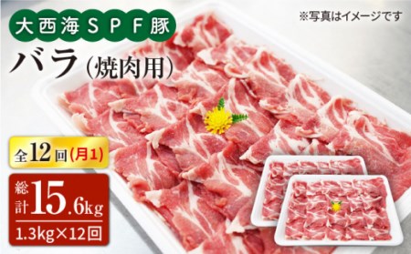 【訳あり】【月1回約1.3kg×12回定期便】大西海SPF豚 バラ（焼肉用）計15.6kg＜大西海ファーム [CEK121]