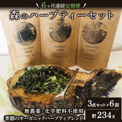 ふるさと納税 岩見沢市 【定期便】森のハーブティーセット(3点合計39g) ≪1ヶ月に1回のお届け　計6回定期便≫