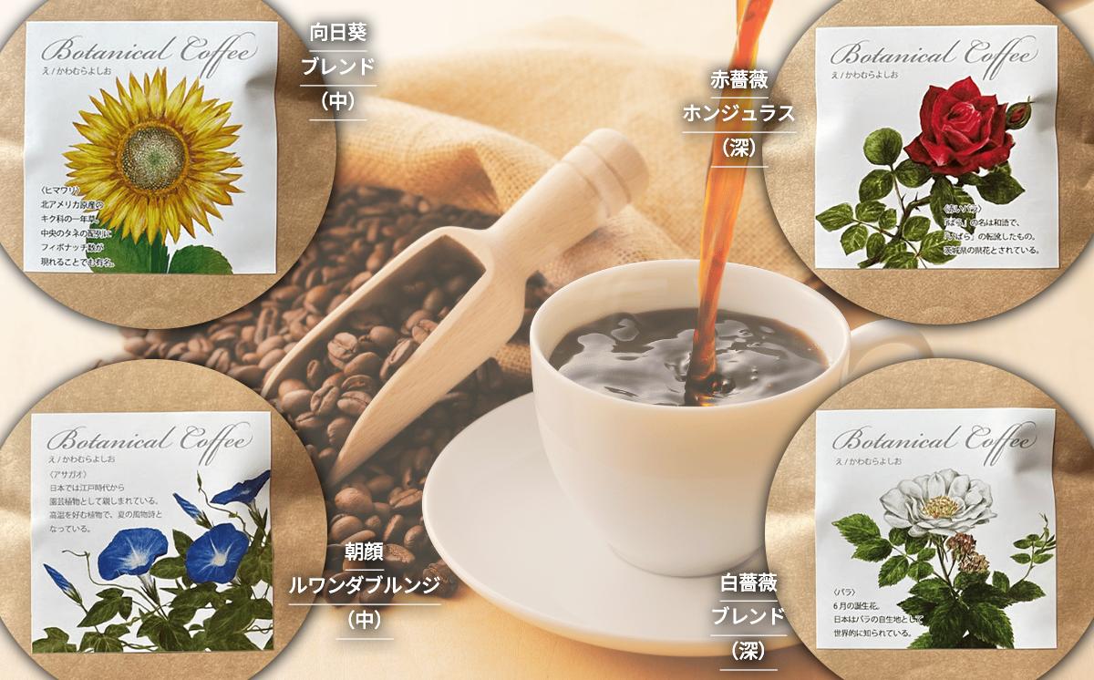 もっくん珈琲のコーヒー豆『季節の草花珈琲』(豆のまま)　100g×4種 計400g　【 コーヒー 珈琲 粉 コーヒー豆 自家焙煎 スペシャルティコーヒー ギフト 茨城県 つくば市 】
