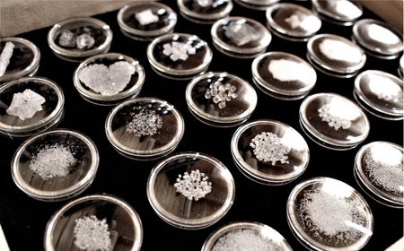 【2025年10月下旬より発送】安田町産 完全天日塩 新鮮とトマト セット 先行受付 完熟 トマト と 完全天日塩 セット  産地直送 新鮮 もぎたて 塩職人 手作り  人気 おすすめ ランキング 野