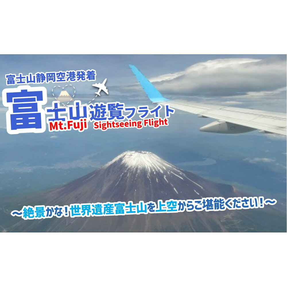 【ふるさと納税】【1名参加用】静岡空港発着 富士山遊覧フライト／FDAで約55分の遊覧　ラド観光のFDA利用ツアーふるさと納税