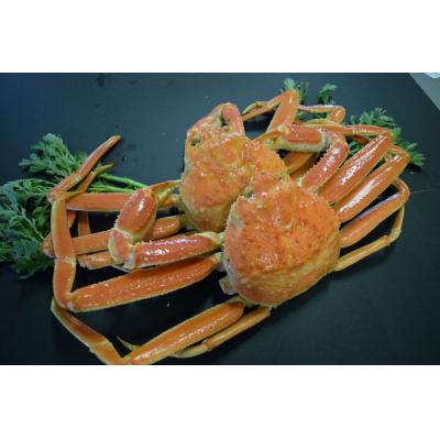ふるさと納税 境港市 <土日祝着><11月中旬〜2月順次配送予定>タグ付きだけが松葉じゃない!!茹で松葉がに(足欠2尾)