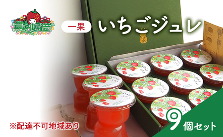 フルーツジュレ 一果 いちご 9個セット 紅ほっぺ 農マル園芸 フルーツジュレ