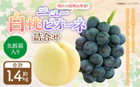 詰合 白桃 2玉 （1玉220g以上）・ニューピオーネ 2房 （1房480g以上） 化粧箱入り 【2026年7月下旬～8月上旬迄発送予定】 果物 くだもの フルーツ 桃 もも モモ ぶどう ブドウ 葡萄 詰合せ 詰め合わせ 岡山 おかやま 国産 冷蔵