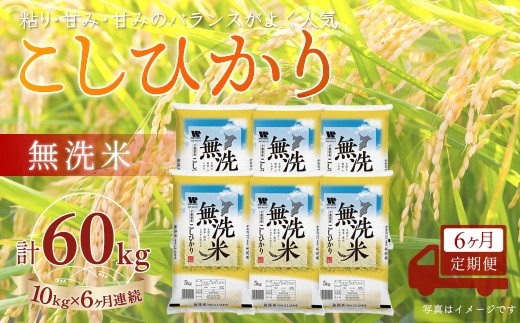 ＜6か月定期便＞ 千葉県産「コシヒカリ」無洗米 10kg×6か月連続 計60kg A080
