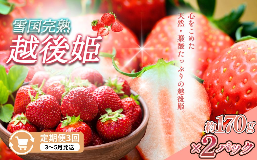 定期便 3回【3～5月発送】雪国完熟いちご越後姫 170g×2全3回 