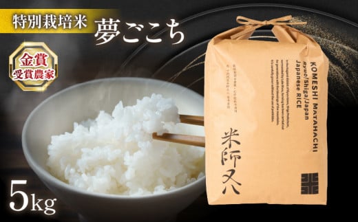 米 夢ごこち 5kg ( 令和7年産 2025年産 ブランド 米 rice 精米 白米 ご飯 内祝い 十六代目米師又八 謹製 もちもち 国産 送料無料 滋賀県 竜王 ふるさと納税 )
