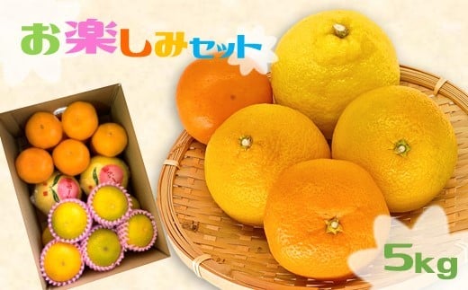 旬の玉名産みかん約5kg詰め合わせ 【 お楽しみセット 】 | 果物 くだもの フルーツ 柑橘 柑橘類 みかん 熊本県 玉名市 詰め合わせ 旬 セット お楽しみ