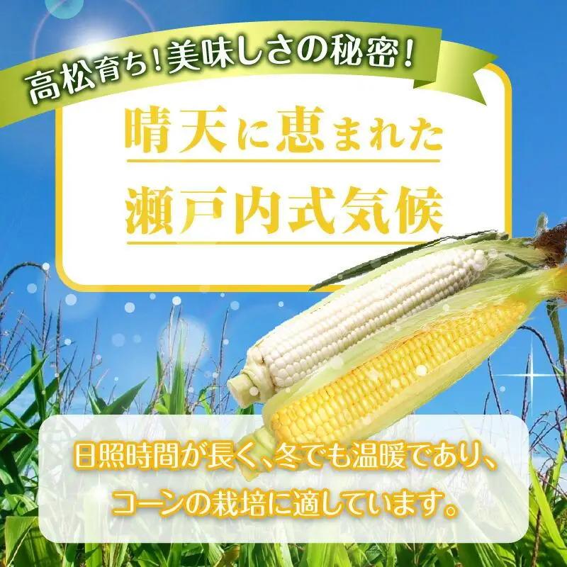 瀬戸内ホワイトコーン・イエローコーン食べ比べ 各約3kg【2026-6月中旬～2026-7月中旬配送】| コーン