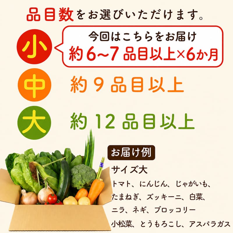 【朝採れ】定期便 6か月 野菜 セット 6~7品目 以上 お野菜 季節 野菜 旬 新鮮 産地直送 詰め合わせ やさい おいしい セット 美味しい たっぷり 丸新柴本製茶 静岡県 牧之原市