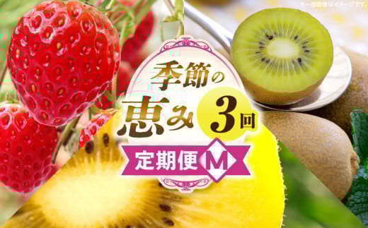 季節の恵み3回定期便M_mk165-t044