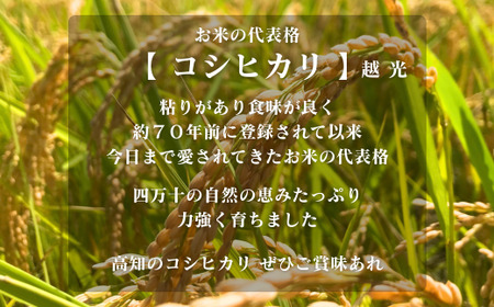 【令和7年産】四万十市産 コシヒカリ 玄米 9kg 栽培期間中農薬・ 化学肥料・除草剤不使用 国産 こしひかり 2025年産 米 こめ コメ ご飯 高知 四万十 しまんと 農家直送 蕨岡の百姓 福留壯