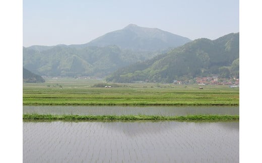 阿東の風景