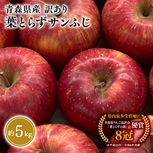 訳あり 葉とらず サンふじ 家庭用 約5kg 【岩渕農園・平川市産・青森りんご・1月・2月・3月】