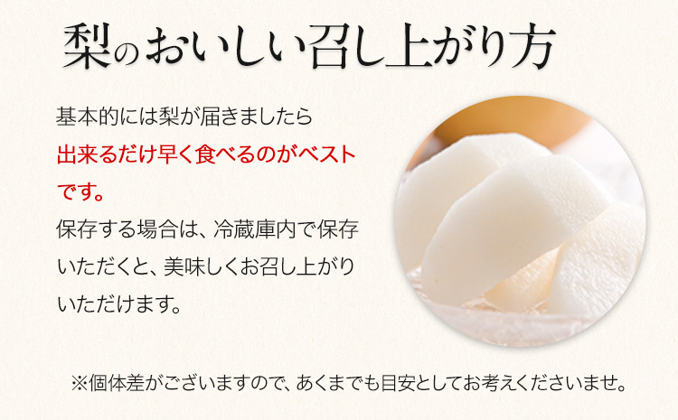 『上田農園』の玉東梨　予約受付中　たっぷり約3kg 3-10玉前後《8月中旬-10月上旬頃出荷》 熊本県 玉名郡 玉東町 梨 ナシ フルーツ 果物 送料無料 梨 旬 豊水 あきづき 甘太 新高