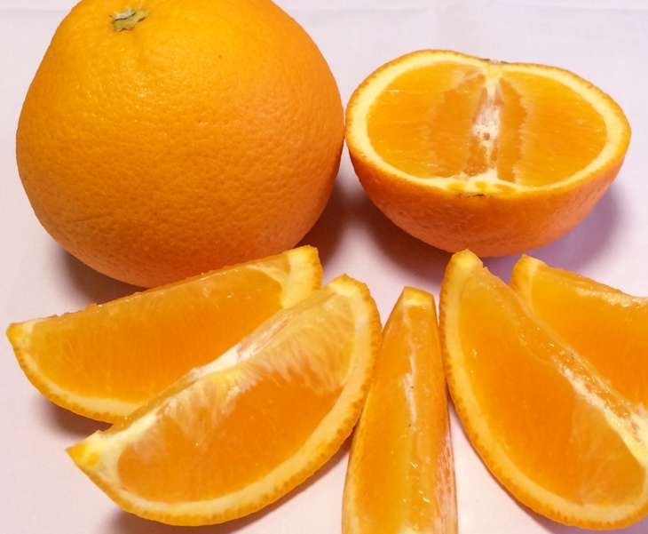 【ふるさと納税】【限定】 有田産(湯浅町)ネーブル 9～15個（約4～5kg) サイズ(おまかせ)