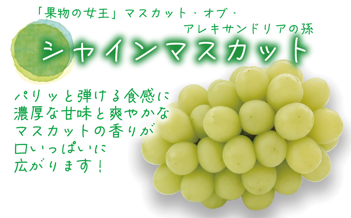 .花笑み農園　岡山の『ピオーネ＆シャインマスカット＆ラムピオーネジャム＆飲む酢』【hana70】