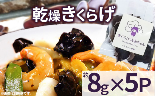 乾燥きくらげ 8g×5P ともちゃん農園| 乾燥きくらげ きくらげ 贈答用 乾燥 きくらげ 食物繊維 鉄分 カルシウム ビタミンD カリウム アミノ酸  高血圧予防 ふるさと 納税 栃木県 那珂川町 送料無料