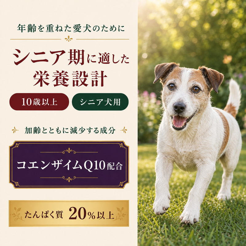 ビューティープロ ドッグ 10歳以上 2.3kg ｘ4(ケース単位) ドッグフード