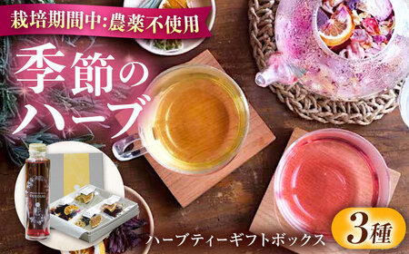 ローズハーバルティー＆ハイビスカスシロップ　ギフトセット　ハーブ ハーブティー 紅茶 ティー ハーブティ ティーバッグ エシカル レモングラス カモミール ハイビスカス バラ オレンジ 無農薬 オーガニック  広島県福山市/株式会社Herbal Style[BAFV001]