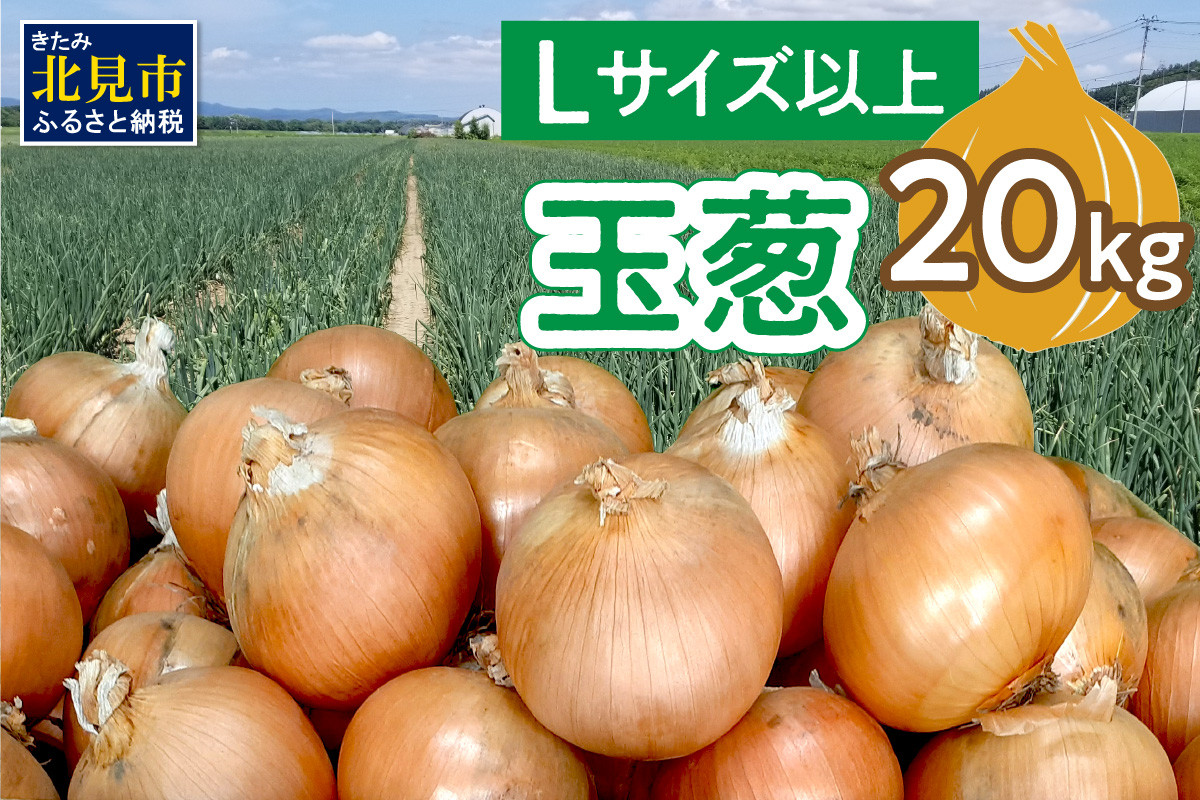 
【予約】玉葱 20kg Lサイズ以上 ( 玉ねぎ たまねぎ 野菜 20キロ 期間限定 ふるさと納税 玉ねぎ生産量日本一 北見市産 )【148-0007-2024】
