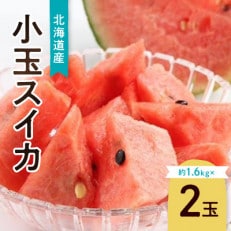 先行受付　北海道産小玉スイカ約1.6kg×2玉