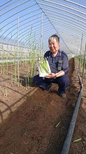 大武さんのアスパラガスギフトセット1kg