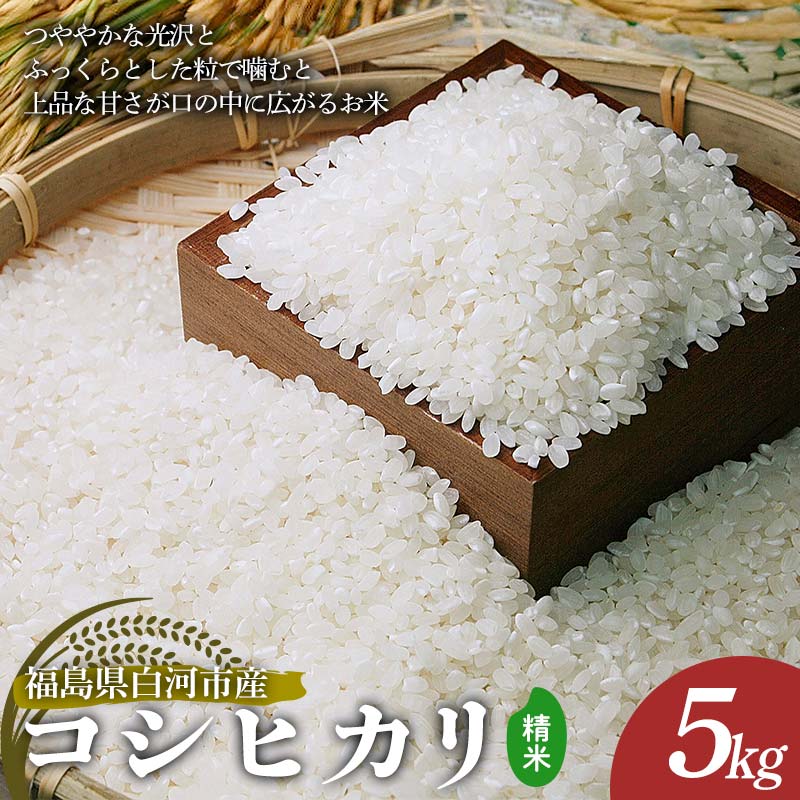 令和7年産 コシヒカリ 精米 5kg 米 コメ ごはん ご飯 食品 F24R-227