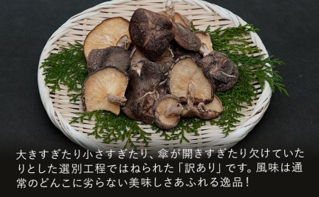 乾燥椎茸 訳あり 椎茸50g×10パック 干し椎茸 しいたけ 乾燥しいたけ 原木 大分県産 九州産 中津市 国産