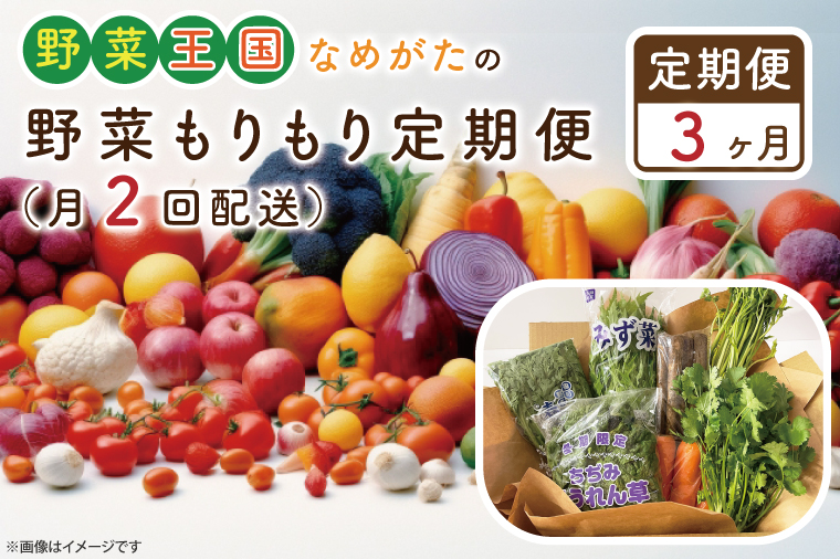 CU-140　【3ヶ月定期便】野菜王国なめがたの野菜もりもり定期便（月２回発送）