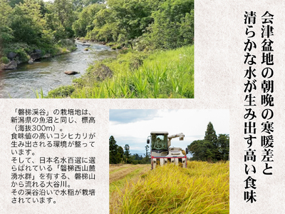 【先行予約・新米】Aランク会津コシヒカリ特別栽培米「磐梯渓谷」 （減農薬栽培）5kg