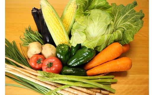 越知産市の季節の野菜セット(年2回発送)