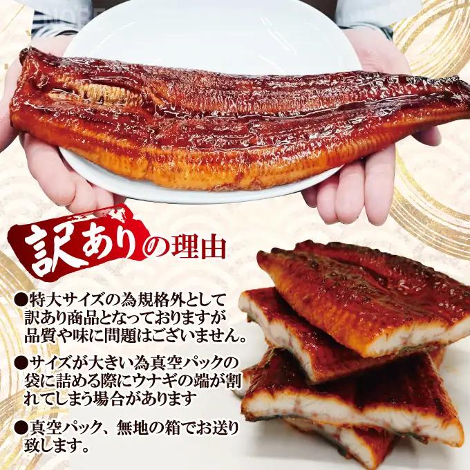 うなぎ 訳あり 蒲焼き 1尾 計300g以上  【うなぎ】【ho1684】