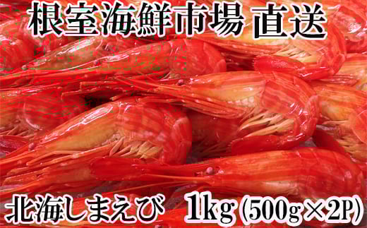 B-14120 北海しまえび500g×2P
