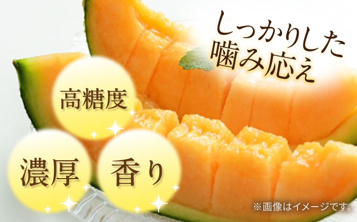 【4回定期便】訳あり メロン 4種 食べ比べ / プリンスメロン イエローキング タカミレッド タカミメロン / メロン めろん フルーツ 果物 / 南島原市 / 南島原果物屋 [SCV046]