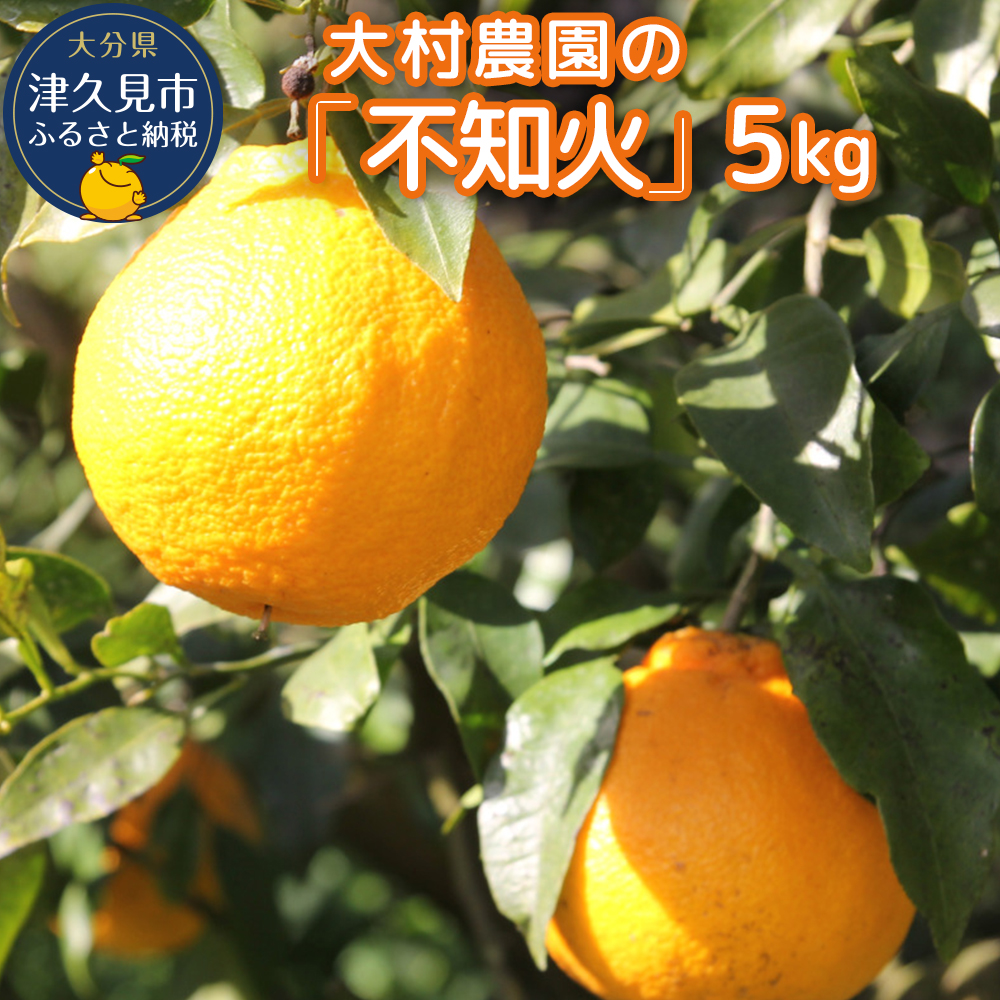 【先行予約】大村農園のみかん 不知火 5kg ミカン 蜜柑 オレンジ 果実 旬のフルーツ 大分県産 九州産 津久見市 国産