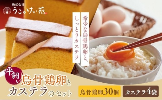 卵 カステラ 静岡 平飼い烏骨鶏の卵30個とカステラのセット たまご 鶏卵 カステラ 和菓子 静岡県 森町
