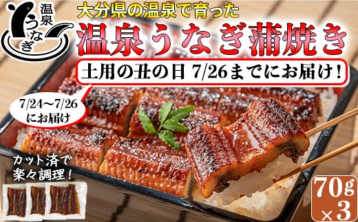 
                  【 土用の丑 までに（7/24～7/26）お届け 】 完全無投薬養殖 国産 温泉うなぎ蒲焼 (カット) 70g×3 丑の日 土用の丑の日 ＜104-058＞
                
