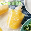 【ふるさと納税】青パパイアスムージー 2個入 MIYAZAKI GREEN PAPAYA TSUBUUZEE ～青パパイアの粒々とフレッシュな柑橘の味わい～［お試し版］