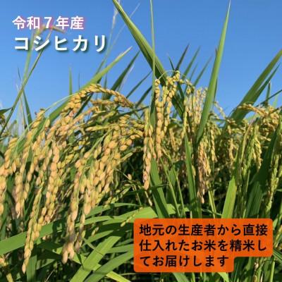 ふるさと納税 かすみがうら市 令和7年産　茨城県かすみがうら市産　精米　コシヒカリ　10kg |  | 01