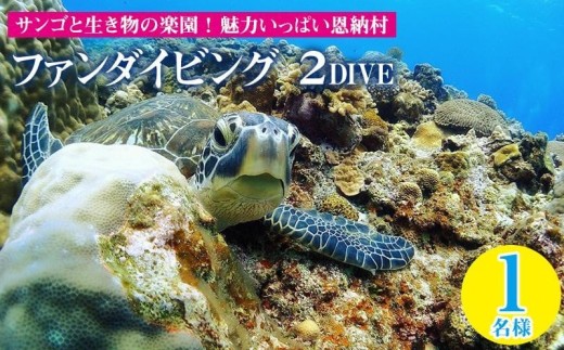 サンゴと生き物の楽園！魅力いっぱい恩納村ファンダイビング（2DIVE）1名様