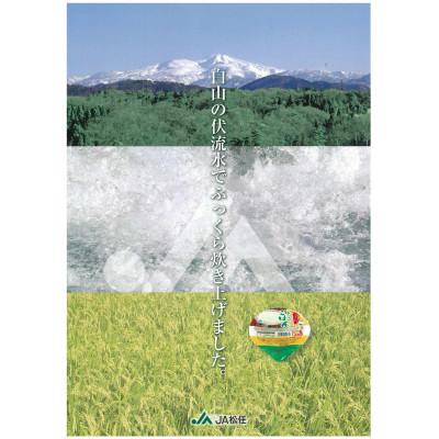 ふるさと納税 白山市 ふっくらおいしい「松ちゃんのごはん」　　パックごはん(180g×12パック) |  | 03
