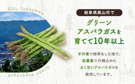 【2026年発送・先行受付】2Lサイズ以上 ひだっこアスパラガス 0.5kg | 産地直送 春 夏野菜 採れたて アスパラガス CM003VC01
