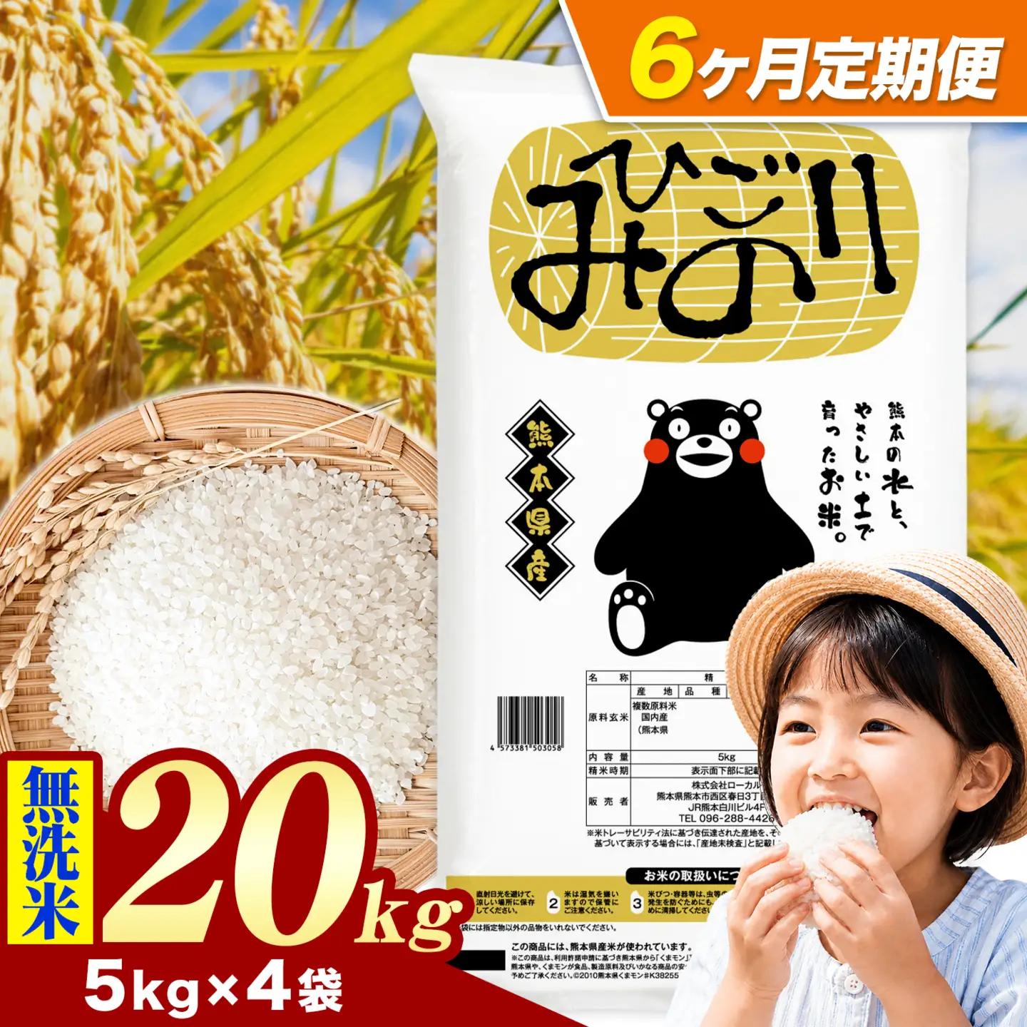 【6ヶ月定期便】ひごみのり 無洗米 熊本県産 ブレンド米 20kg 熊本県産 ふるさと納税  精米 米 こめ ふるさとのうぜい コメ お米 おこめ《お申込み翌月から出荷》