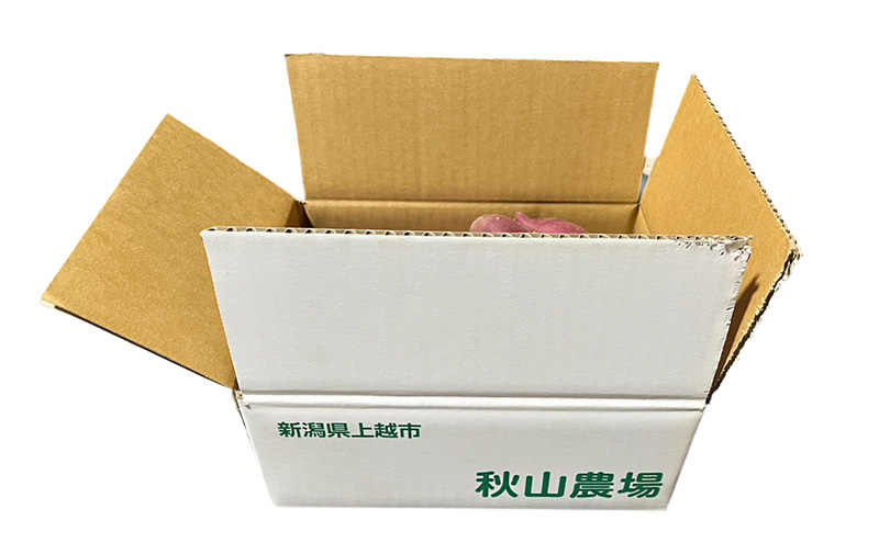 新潟県上越市産 紅はるか サツマイモ さつまいも S-Lサイズ