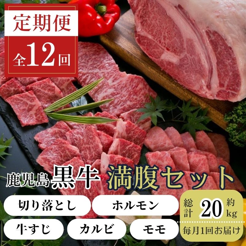 【G01006】　 ＜定期便・全12回(連続)＞鹿児島黒牛 満足定期便・満腹セット(全5種・合計20kg)