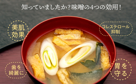 信州味噌 2種 セット 詰め合わせ 信州味噌