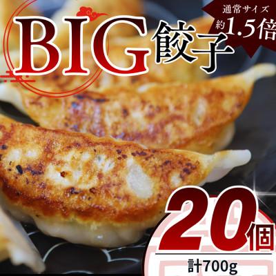 ふるさと納税 真岡市 たじまやオリジナルビッグ餃子　35g×20個　